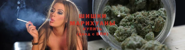 дживик Киреевск