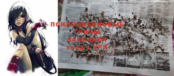 дживик Киреевск